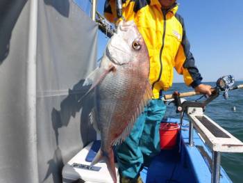鯛紅丸 釣果