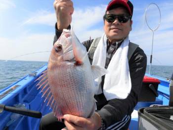 鯛紅丸 釣果