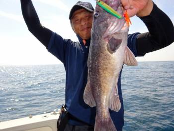 鯛紅丸 釣果