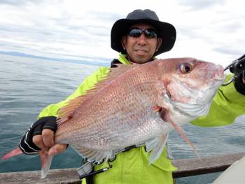 鯛紅丸 釣果