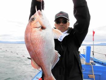 鯛紅丸 釣果