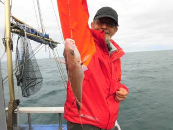 鯛紅丸 釣果