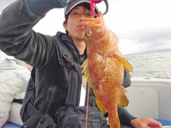 鯛紅丸 釣果