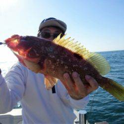 鯛紅丸 釣果