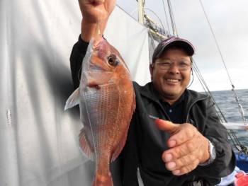 鯛紅丸 釣果