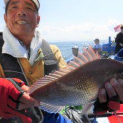 鯛紅丸 釣果
