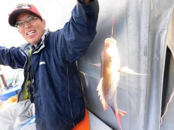 鯛紅丸 釣果