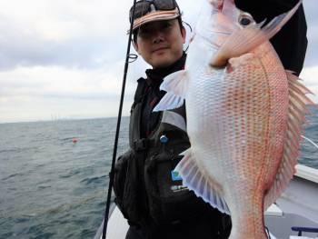 鯛紅丸 釣果