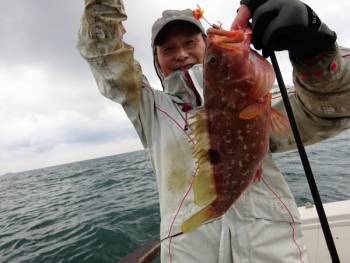 鯛紅丸 釣果