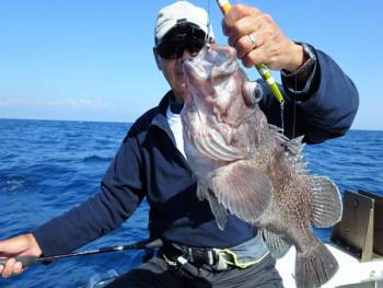 鯛紅丸 釣果