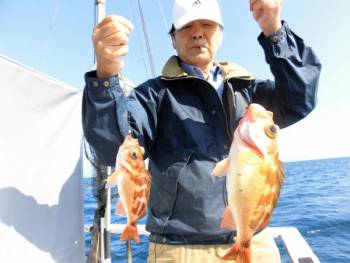 鯛紅丸 釣果