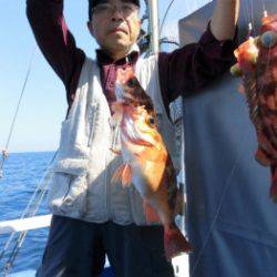 鯛紅丸 釣果