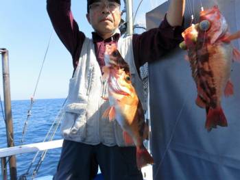 鯛紅丸 釣果