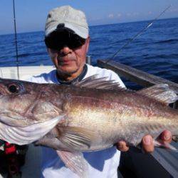 鯛紅丸 釣果