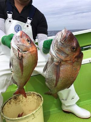 松栄丸 釣果