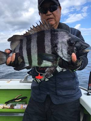 松栄丸 釣果