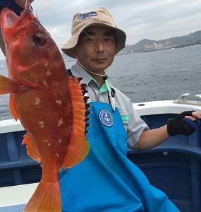 松栄丸 釣果