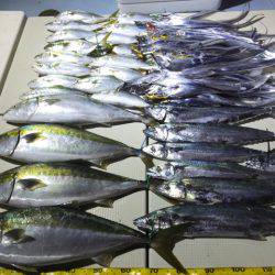 Hit Rush(ヒット ラッシュ) 釣果