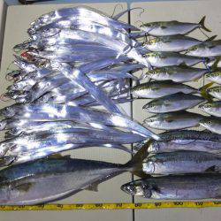 Hit Rush(ヒット ラッシュ） 釣果