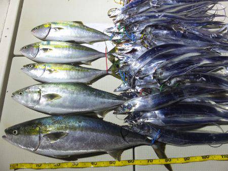 Hit Rush(ヒット ラッシュ） 釣果