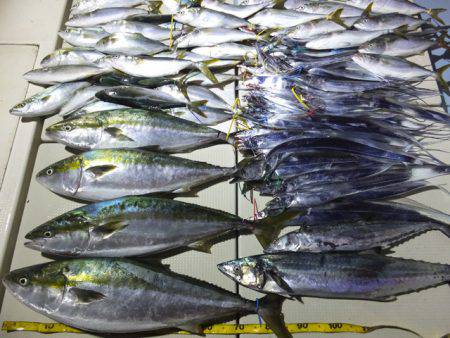 Hit Rush(ヒット ラッシュ） 釣果…