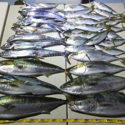 Hit Rush(ヒット ラッシュ) 釣果