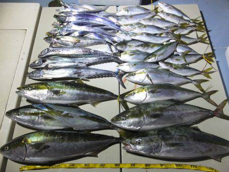 Hit Rush(ヒット ラッシュ） 釣果…