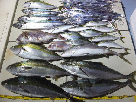 Hit Rush(ヒット ラッシュ） 釣果…