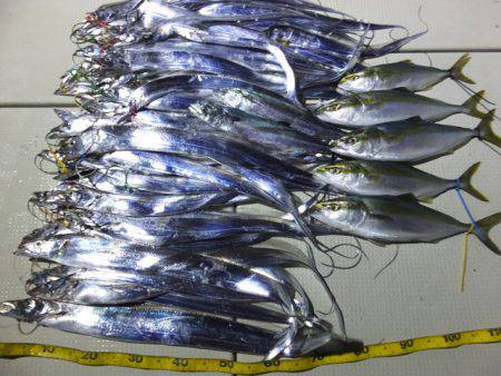 Hit Rush(ヒット ラッシュ） 釣果…