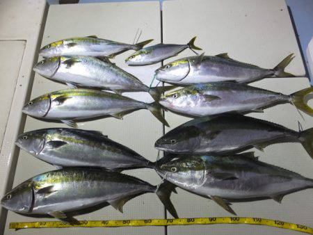 Hit Rush(ヒット ラッシュ） 釣果…