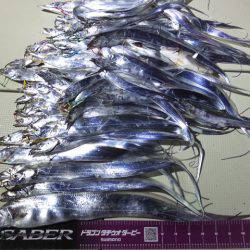 Hit Rush(ヒット ラッシュ) 釣果