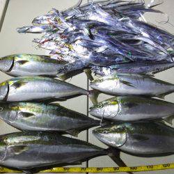 Hit Rush(ヒット ラッシュ） 釣果