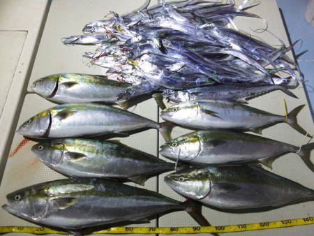 Hit Rush(ヒット ラッシュ） 釣果