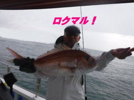 遊漁船 幸友丸 釣果