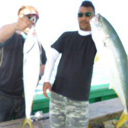 真祐丸 (しんゆうまる) 釣果