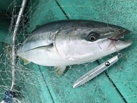 広進丸 釣果