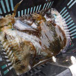 ＢｌｕｅＮｏｔｅ　Ｆｉｓｈｉｎｇ　Ｔａｘｉ 釣果