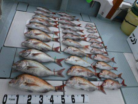 遊漁船 幸友丸 釣果