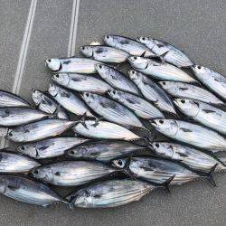 へいみつ丸 釣果