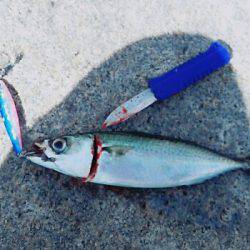 台風直後はやはり