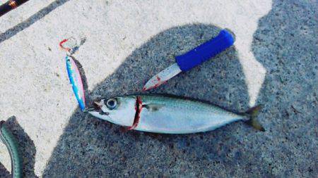 台風直後はやはり