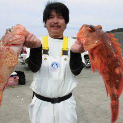 大進丸(新潟) 釣果