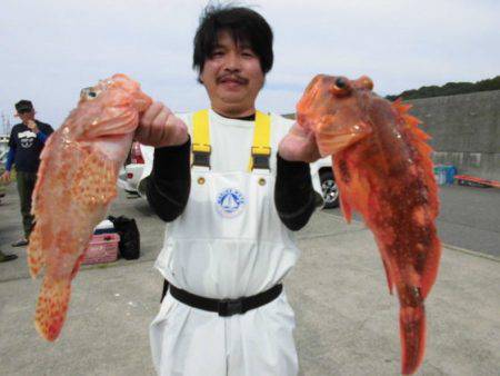 大進丸(新潟) 釣果