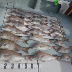 遊漁船 幸友丸 釣果