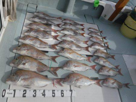 遊漁船 幸友丸 釣果