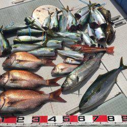 ふじしめ丸 釣果