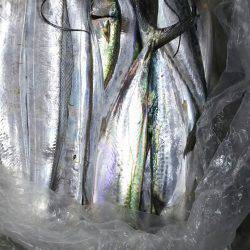 台風直後はやはり