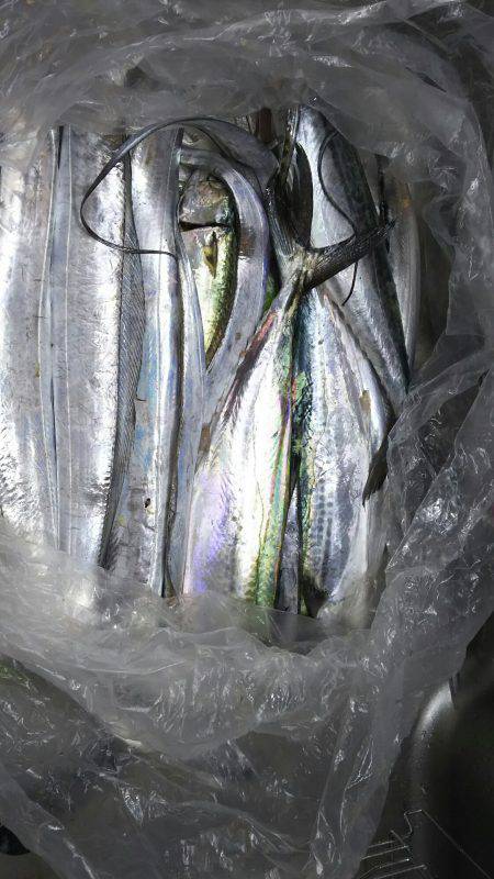 台風直後はやはり