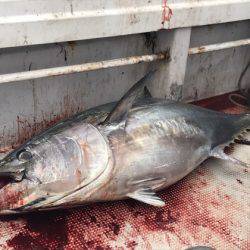 寿裕 （YOSHIHIRO） 釣果