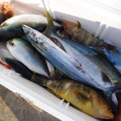 BlueNote Fishing Taxi 釣果